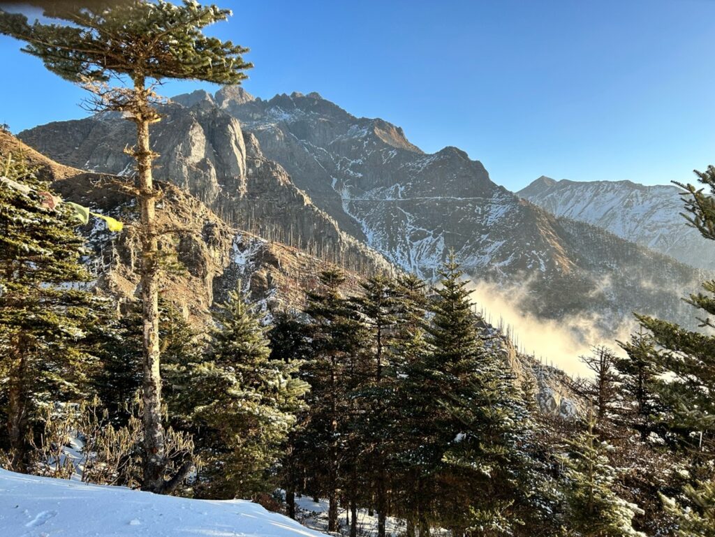 Birding in Arunachal Pradesh - Eastern Himalayan forest habitat | Birding9