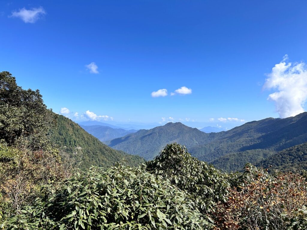 Eaglenest Wildlife Sanctuary West Kameng - Birding in Arunachal Pradesh | Birding9